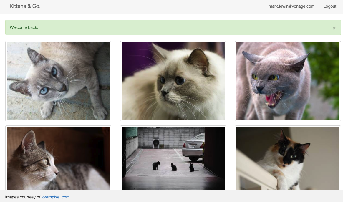 Successful verification